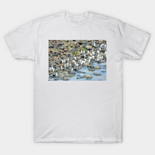 Duck at river side-Nature T-Shirt